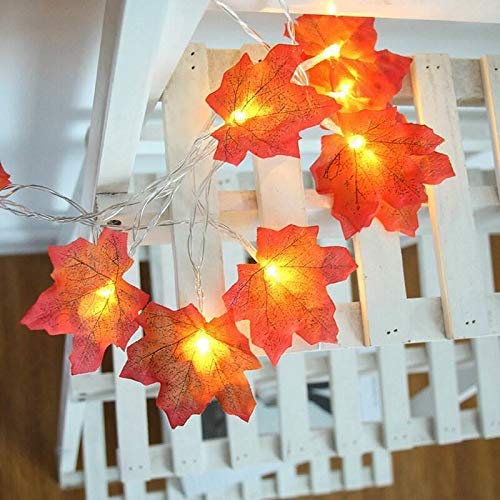 VIROSA 20 LED Maple Leaves Fairy Lights – 2M / 6.8 Feet – Fall Garland with Battery Operated Warm Lights – Autumn Decor for Halloween, Thanksgiving, Xmas & More