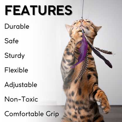 VIROSA Cat Feather Toys – Retractable Teaser Wand with 8 Refills & 2 Spare Hooks – Interactive Toy for Indoor Cats & Kittens – Fun Exercise, Hunting Play & Bonding Activity