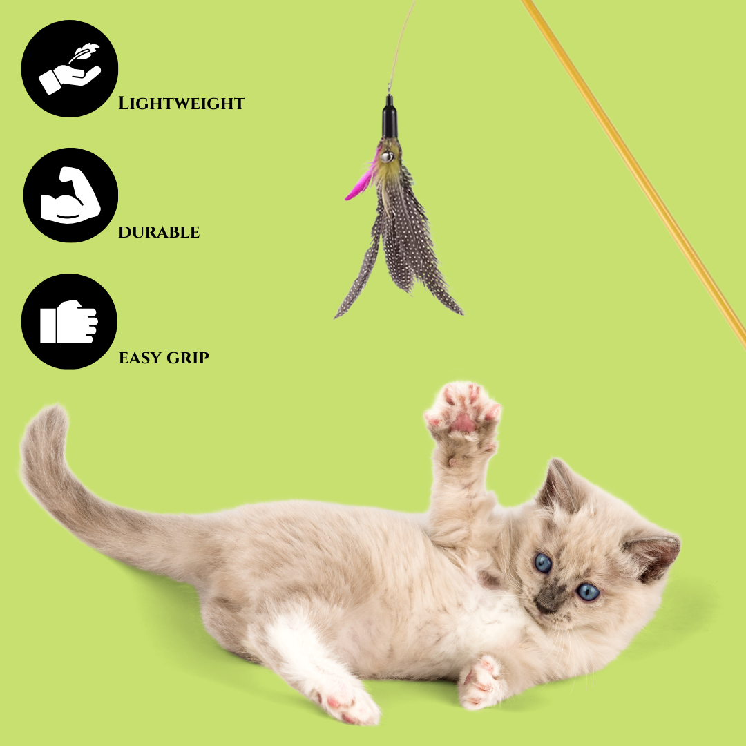 VIROSA Cat Feather Toys – Retractable Teaser Wand with 8 Refills & 2 Spare Hooks – Interactive Toy for Indoor Cats & Kittens – Fun Exercise, Hunting Play & Bonding Activity