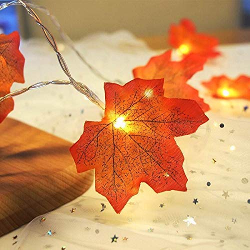 VIROSA 20 LED Maple Leaves Fairy Lights – 2M / 6.8 Feet – Fall Garland with Battery Operated Warm Lights – Autumn Decor for Halloween, Thanksgiving, Xmas & More