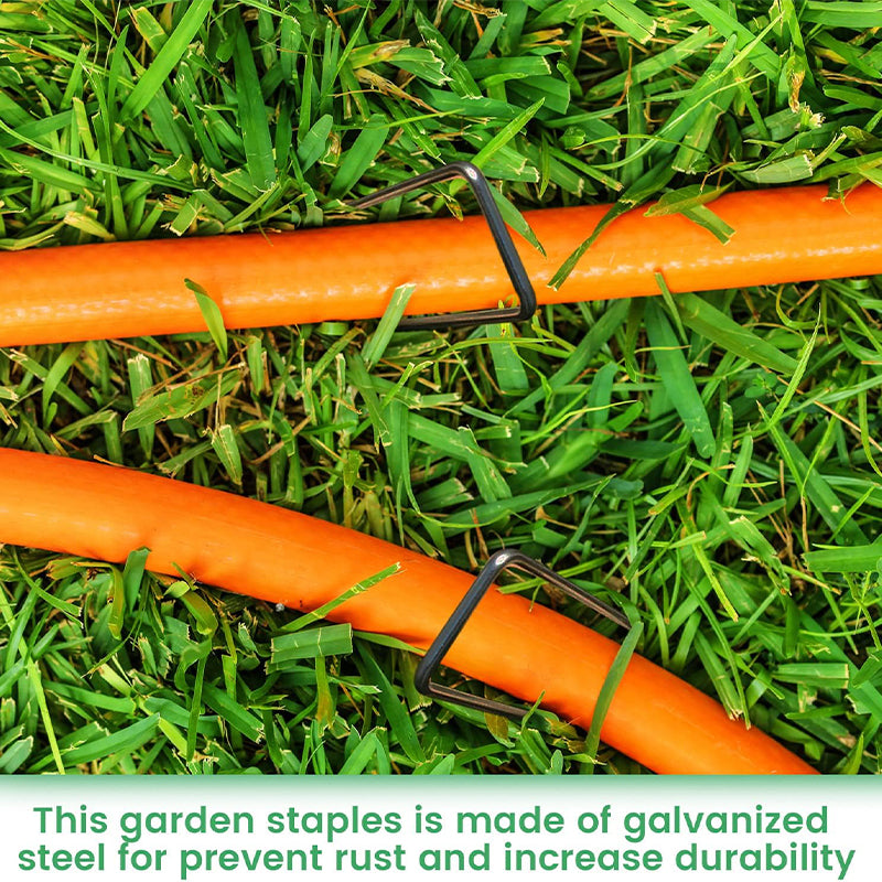 50-Pack Black Garden Pegs 6''/150mm - Galvanized Steel Stakes