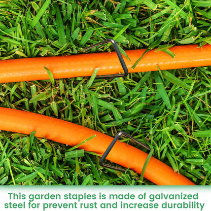 50-Pack Black Garden Pegs 6''/150mm - Galvanized Steel Stakes