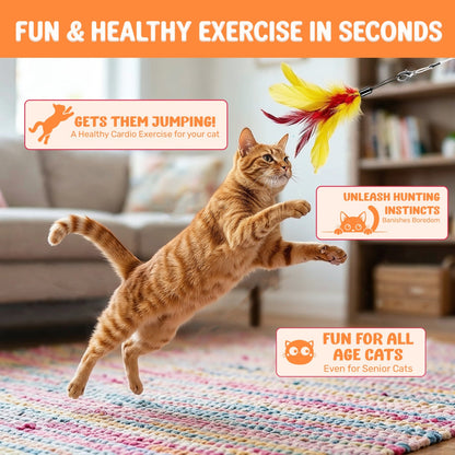 GrassVillage Cat Teaser Wand Toy Set (2 Pack) with 2 wands, 16 Feather Refills & 4 Hooks – Interactive Indoor Cat Toy for Exercise & Play
